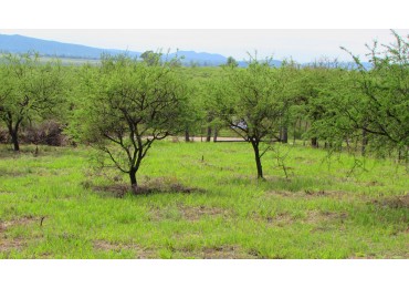 Lote en Venta en Villa Amancay - Calamuchita -- MZ 89 LT 8