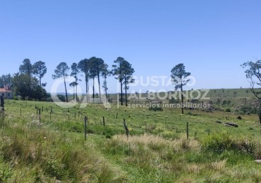 Se vende lote en Yacanto